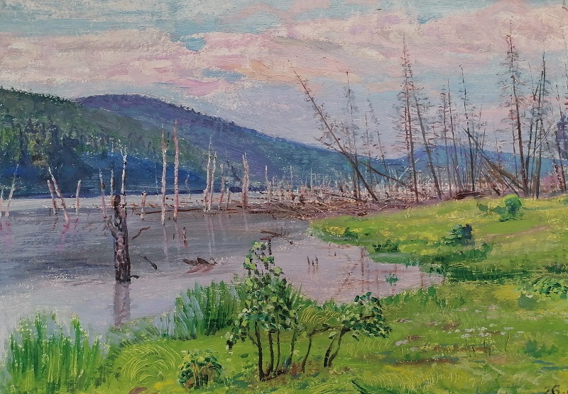 03_Курганово. Затопленный лес.1986 г