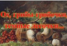 Ох, грибы-грибочки, темные лесочки
