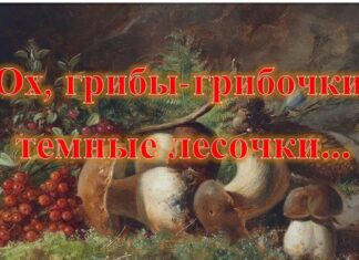 Ох, грибы-грибочки, темные лесочки