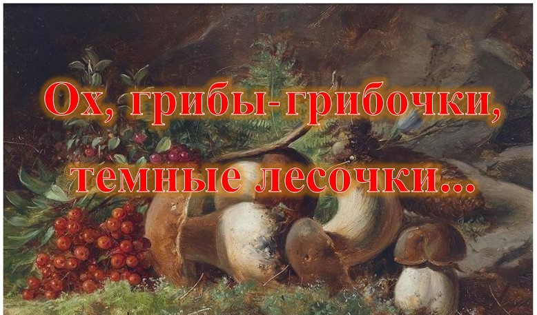 Ох, грибы-грибочки, темные лесочки