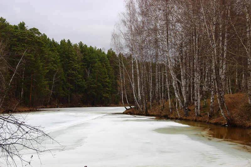 Река Руш. Фото: Александер Гущин / ВКонтакте