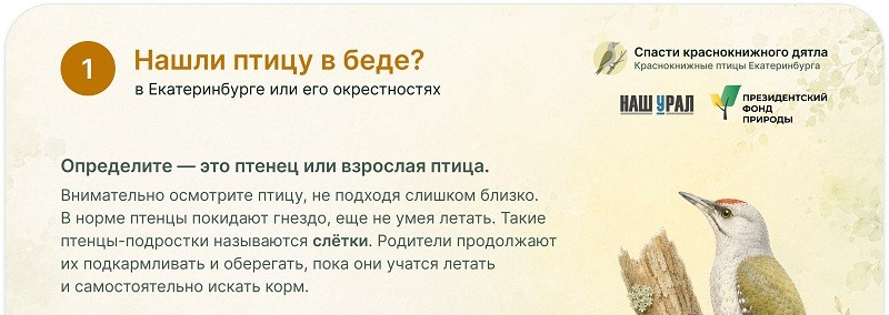 1 — копия — копия