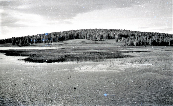 Мыс Крутики. 1978 г.