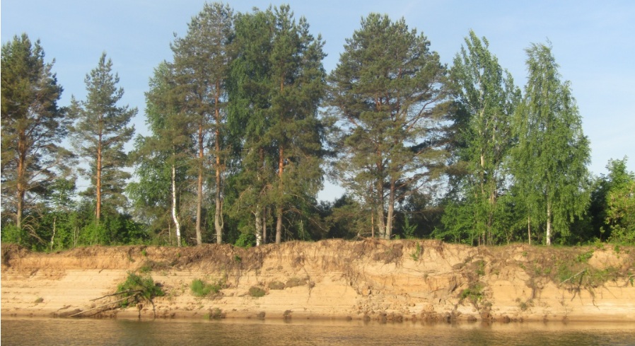 Берега прекрасны