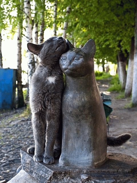 Памятник кошке