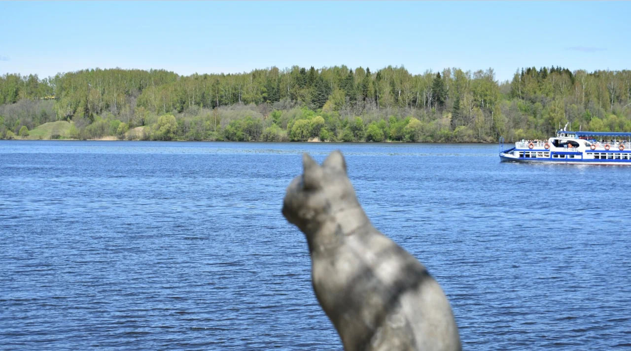 Памятник кошке