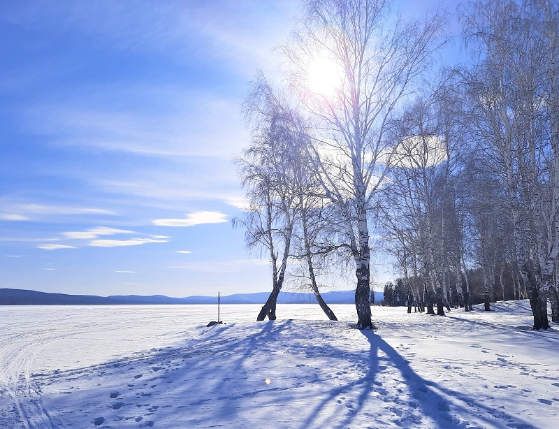 Первая срелка. 2021 е