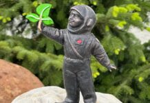 Все космонавтики Калуги Космонавтик Белороска (№12)