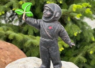 Все космонавтики Калуги Космонавтик Белороска (№12)