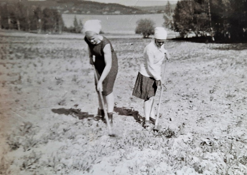На поляне Тимана. 1960-е гг.