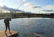 Рыбалка мечты «Азарт» в Рефтинском: свежая форель, уютные беседки и отдых без забот