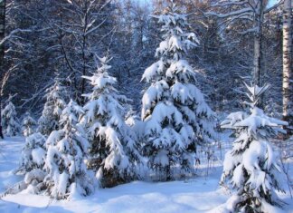 Какая будет зима на Урале? Погода на Урале в феврале