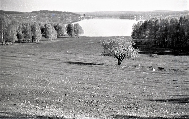 Пашня Тимана на мысу Крутики. 1984 г.