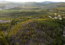 Гора Гусиха, город Карабаш Гора Гусиха, город Карабаш