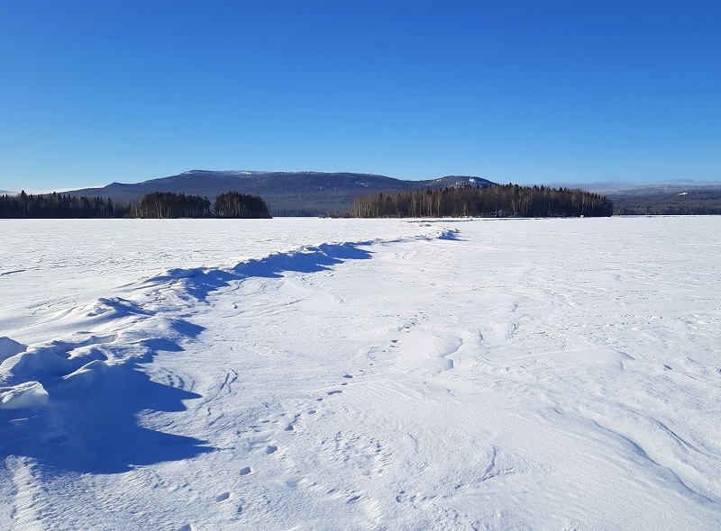 Белая гора и остров Сосновый. 2025 г.