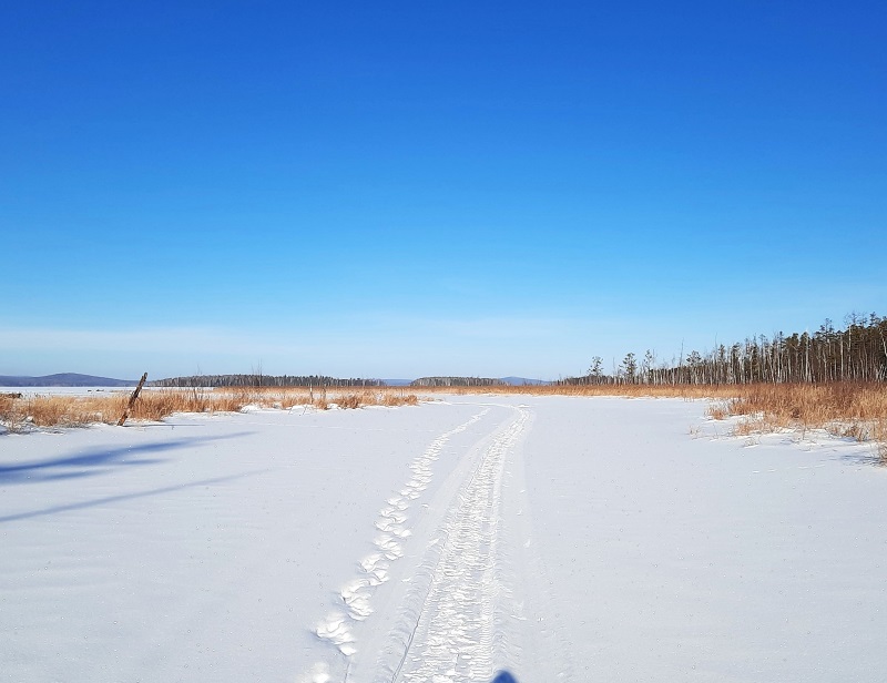 Егорово-Каменский залив. 2025 г.