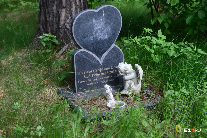 Кладбище домашних животных, интересное на Урале, Екатеринбург, Свердловская область, необычные места Екатеринбург, кладбища для животных в мире
