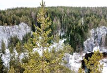 Талицкие скалы Фото: Владимир Музыков / ВКонтакте