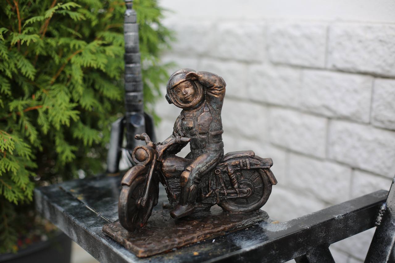 Космонавтик Добрыня (№29)