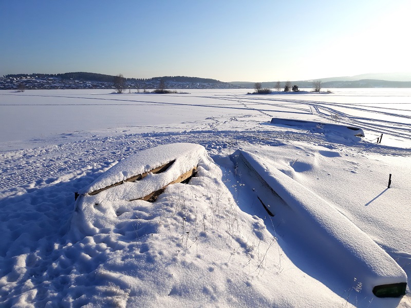 Зимним утром на берегу пруда. 2019 г.