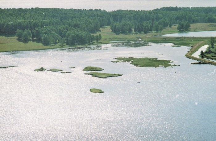 Вид с Заводской горы на залив Курья. 2004 г.