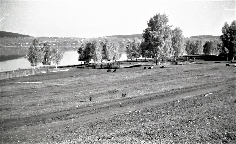Мыс Крутики. 1984 г.