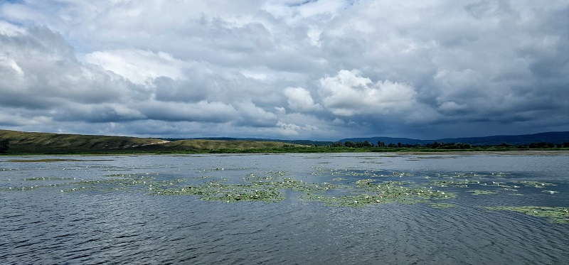 Верхоторский пруд. Фото: Елена Петрова / ВКонтакте