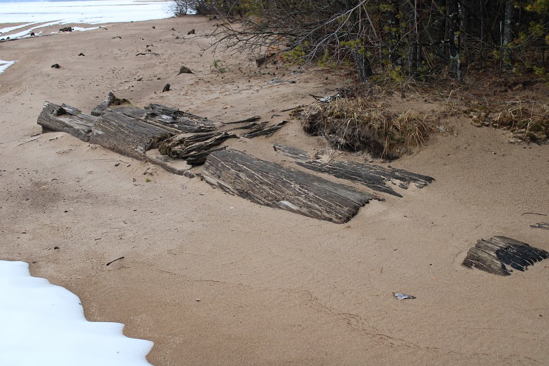 Пляж пней в Полазне: необычное место в Пермском крае на Каме. Фото: Ирина Ваулина / ВКонтакте