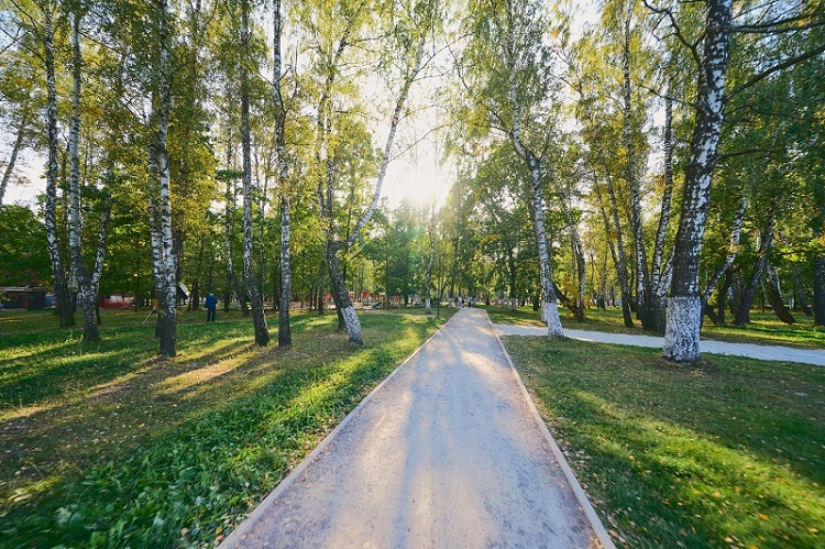 Парк имени Н А Никитина в Железногорске (Курская область): фото и