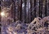 Заставка
