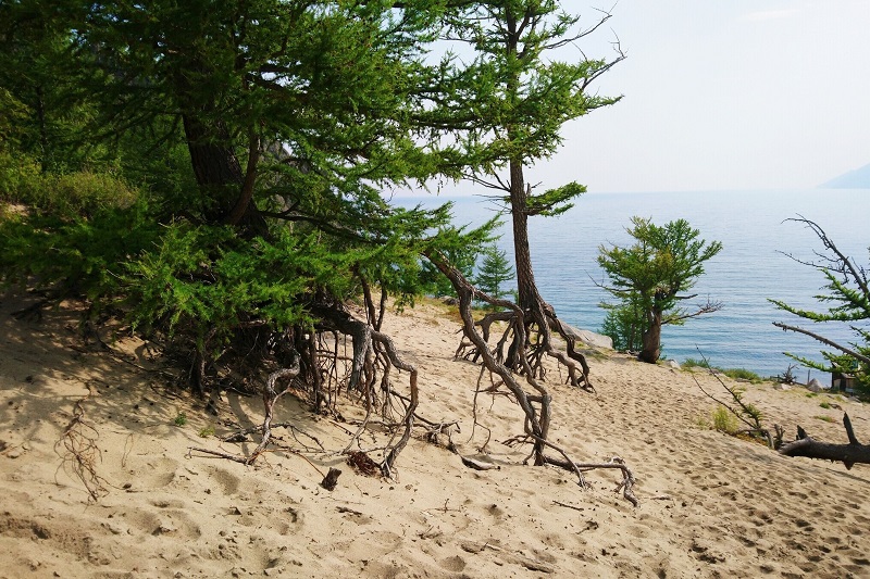 Бухта Песчаная Фото: Валентина Марченко