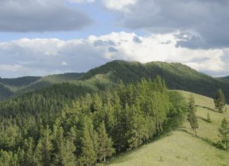 Башкирский заповедник, государственный Башкирский заповедник, Республика Башкортостан, Урал, редкие животные, Красная книга