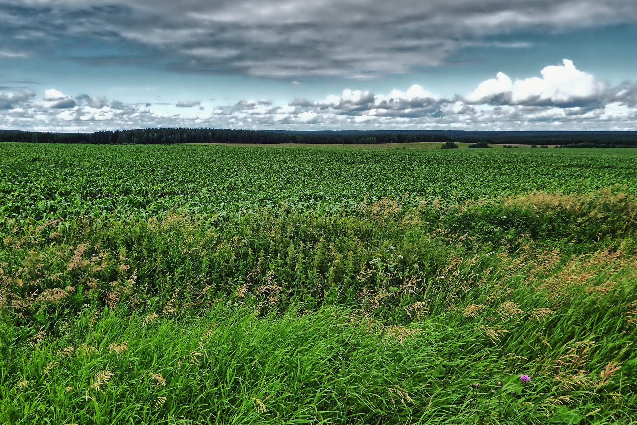 село Гостьково, поле Побоище