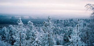 природа Свердловской области, особенности природы, Азов гора, флора и фауна Свердловской области, природные достопримечательности