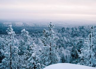 природа Свердловской области, особенности природы, Азов гора, флора и фауна Свердловской области, природные достопримечательности