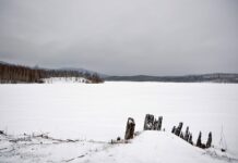 Богородский пруд в Карабаше (Челябинская область) Богородский пруд в Карабаше (Челябинская область). Фото: Андрей Копырин