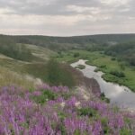 Багаряк: река-невидимка, или Верните скалы на место. 1 часть: история и природа реки Багаряк