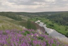 Багаряк: река-невидимка, или Верните скалы на место. 1 часть: история и природа реки Багаряк