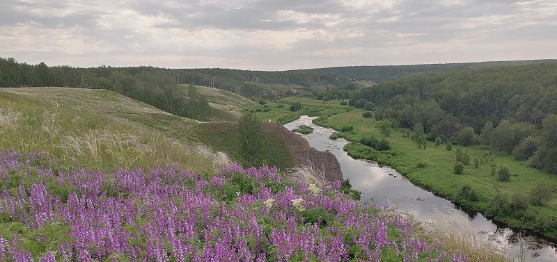 Ф_текст_4 — копия