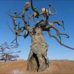 Хранитель Байкала (Отец Байкал) Хранитель Байкала (Отец Байкал) Фото: Наталья Тарасова