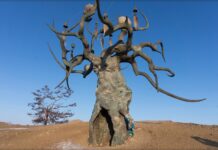 Хранитель Байкала (Отец Байкал) Хранитель Байкала (Отец Байкал) Фото: Наталья Тарасова