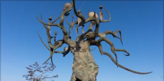 Хранитель Байкала (Отец Байкал) Фото: Наталья Тарасова