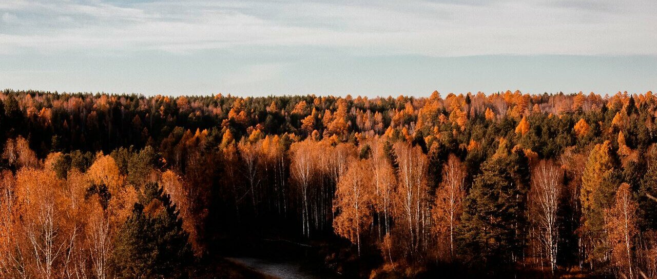 Природный парк Оленьи ручьи в Свердловской области