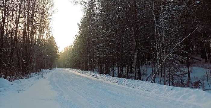 Зимний лес. Фото: «Наш Урал и весь мир»