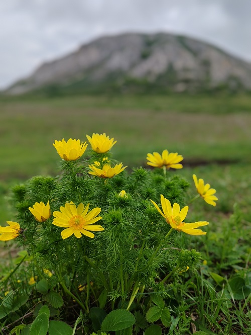 Шихан Торатау. Фото: Матвей Ивонин
