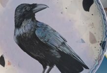 Центр реабилитации диких животных «Солнечная Птица»