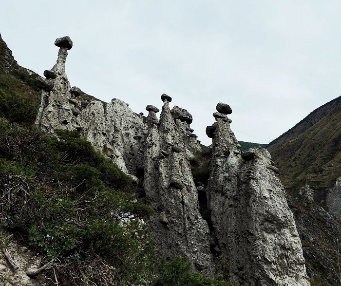 Каменные грибы, Алтай