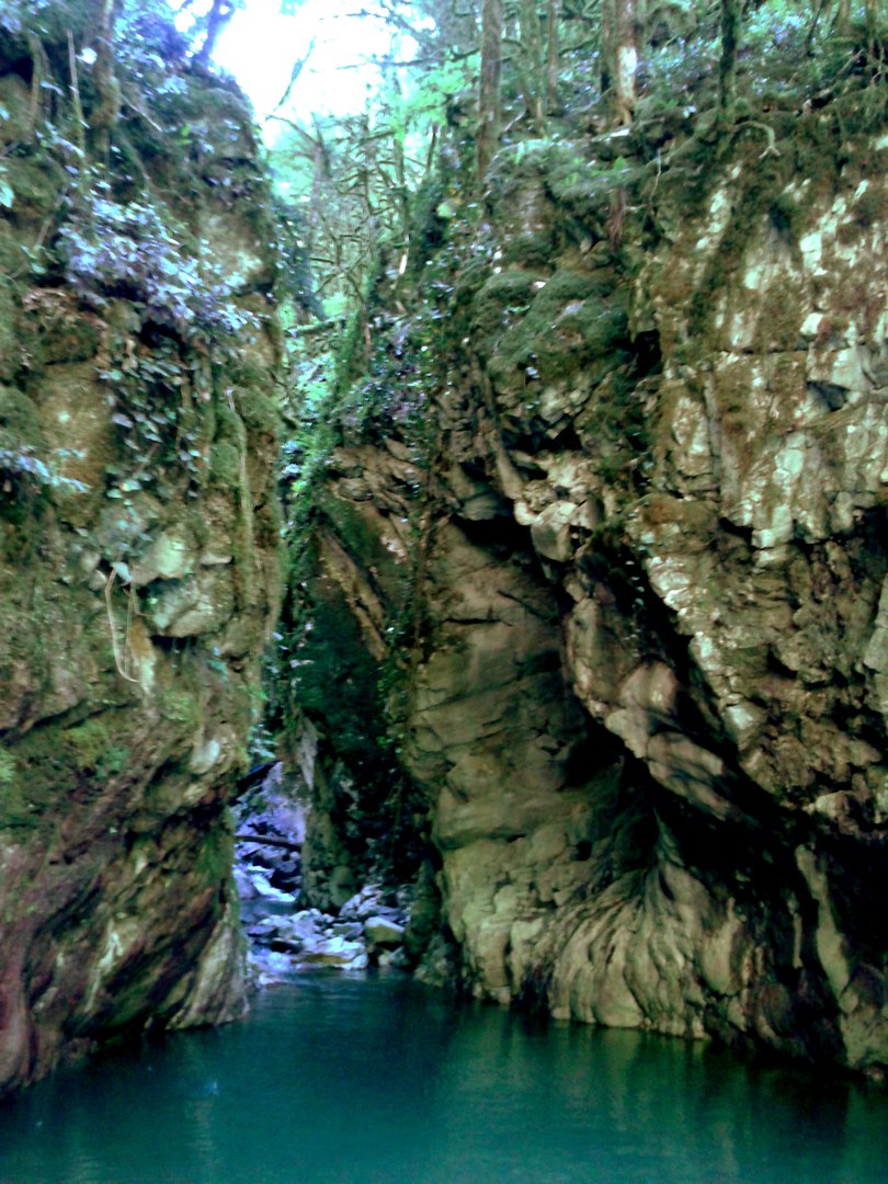 Водопад Бзогу. Фото: Sholokhi / CC BY-SA 4.0