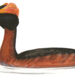 Проект «Спасти краснокнижного дятла». Краснокнижные птицы в Екатеринбурге