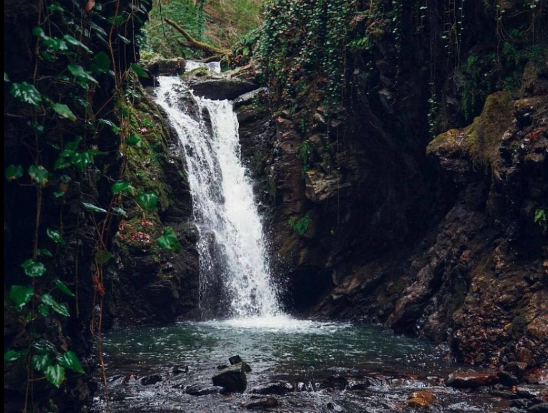 Мацестинские водопады Santosh Deval / google.com/maps